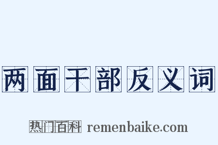 两面干部反义词是什么意思的图片
